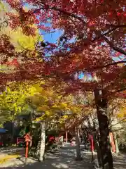 冠稲荷神社の自然