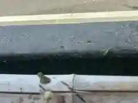 桑野神社の{uncategorized: "未分類", other: "その他", undefined: "問題あり", building: "その他建物", grave: "お墓", sacred_gate: "鳥居", guardian: "狛犬", statue: "像", buddha: "仏像", history: "歴史", nature: "自然", garden: "庭園", animal: "動物", pagoda: "塔", temizu: "手水舎", mountain_gate: "山門・神門", sanctuary: "本殿・本堂", subordinate: "末社・摂社", art: "芸術", scenery: "景色", jizo: "地蔵", ema: "絵馬", goshuin: "御朱印", omikuji: "おみくじ", items: "授与品その他", amulet: "お守り", goshuincho: "御朱印帳", eats: "食事", festival: "お祭り", votive_dance: "神楽", shichigosan: "七五三参", wedding: "結婚式", experience: "体験その他", initially: "初詣", around: "周辺", anti_infection: "感染症対策"}