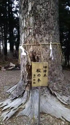 滑川神社 - 仕事と子どもの守り神の自然