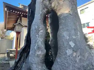 秋葉神社の自然