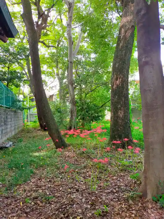 石田神社(大阪府)