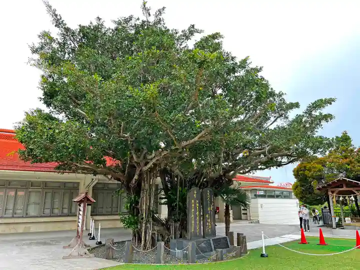 沖縄県護国神社の自然