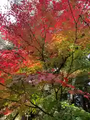 新倉富士浅間神社の自然