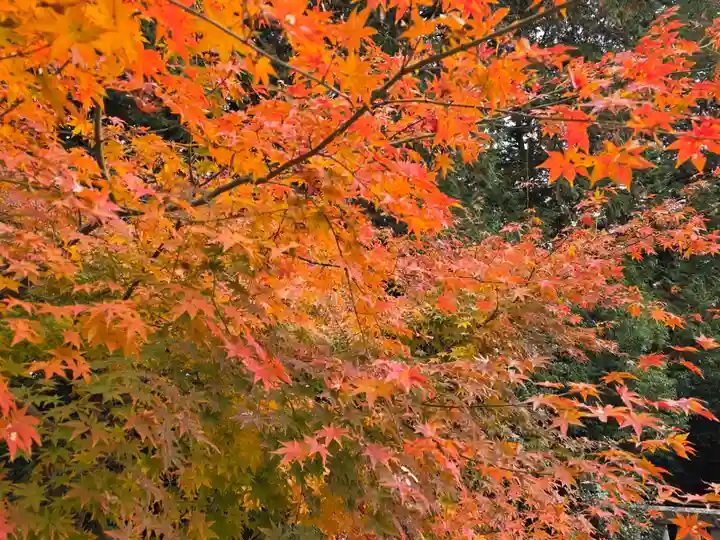 大宮神社(栃木県)