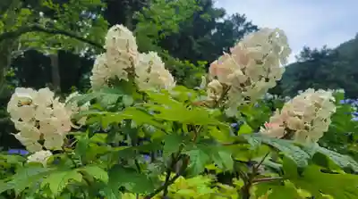 惣河内神社(愛媛県)