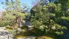 崇福寺の庭園