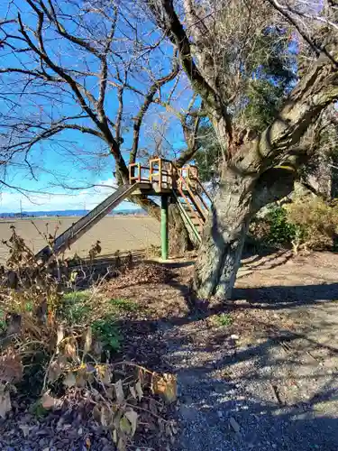 小宅八幡神社の自然