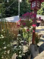 安房神社(栃木県)