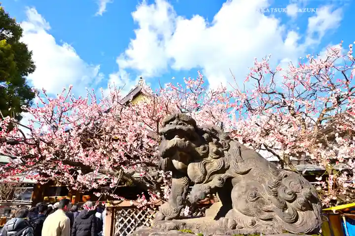湯島天満宮(東京都)