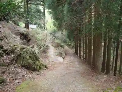 火男火賣神社（中宮）の自然