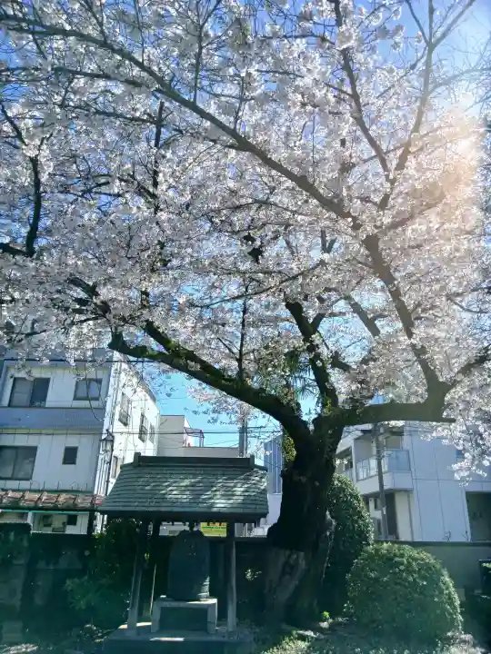観音寺の{uncategorized: "未分類", other: "その他", undefined: "問題あり", building: "その他建物", grave: "お墓", sacred_gate: "鳥居", guardian: "狛犬", statue: "像", buddha: "仏像", history: "歴史", nature: "自然", garden: "庭園", animal: "動物", pagoda: "塔", temizu: "手水舎", mountain_gate: "山門・神門", sanctuary: "本殿・本堂", subordinate: "末社・摂社", art: "芸術", scenery: "景色", jizo: "地蔵", ema: "絵馬", goshuin: "御朱印", omikuji: "おみくじ", items: "授与品その他", amulet: "お守り", goshuincho: "御朱印帳", eats: "食事", festival: "お祭り", votive_dance: "神楽", shichigosan: "七五三参", wedding: "結婚式", experience: "体験その他", initially: "初詣", around: "周辺", anti_infection: "感染症対策"}