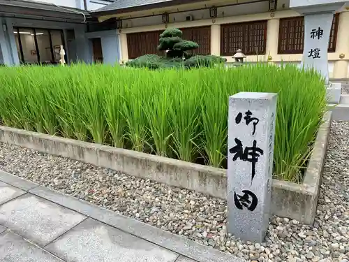 愛知縣護國神社の庭園