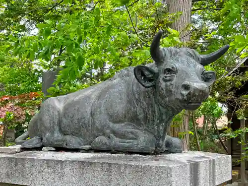 岩見澤神社の狛犬