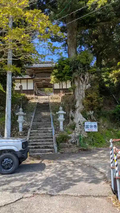 丹後国分寺(京都府)