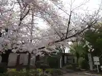 真宗大谷派名古屋別院(愛知県)