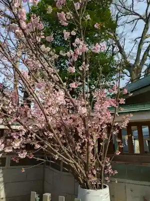 戸越八幡神社(東京都)