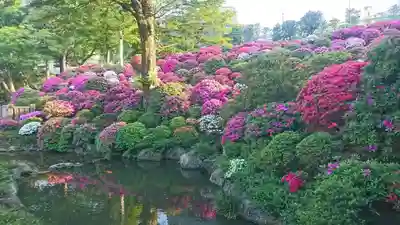 根津神社(東京都)