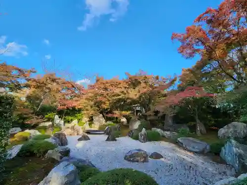 将軍塚青龍殿（青蓮院門跡）の庭園