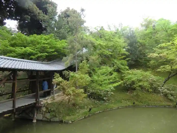 高台寺(高台寿聖禅寺・高臺寺)(京都府)