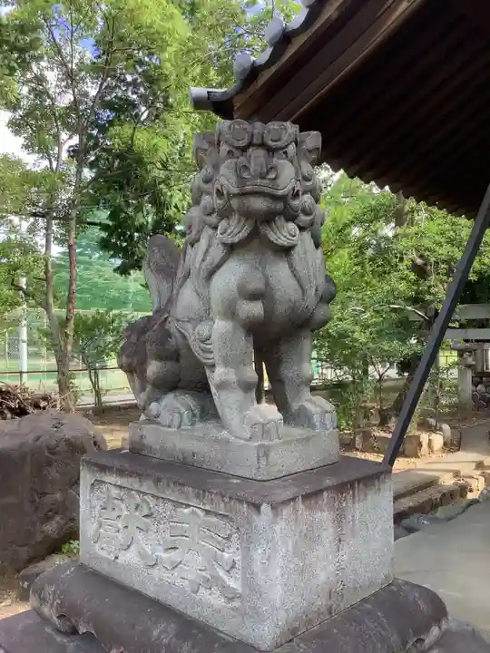 神明社(鳥居松町)の狛犬