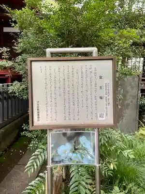 金王八幡宮(東京都)