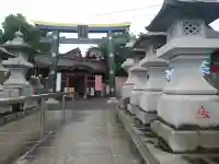 大杉神社(茨城県)