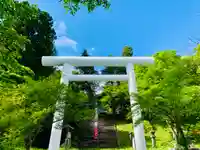 土津神社|こどもと出世の神さまの鳥居