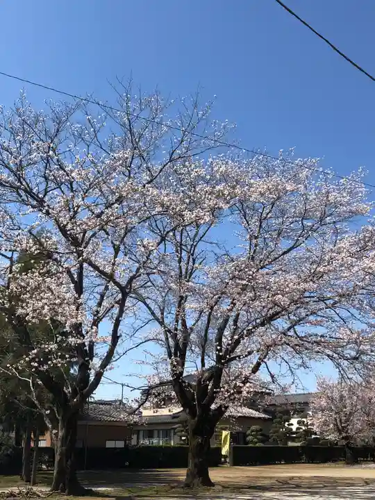 伏木香取神社の自然