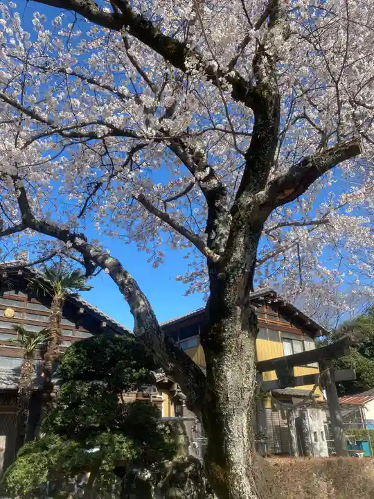 香取神社(関宿香取神社)の自然