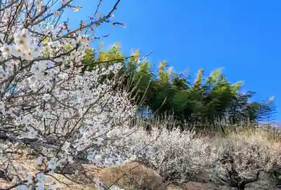 金蛇水神社(宮城県)