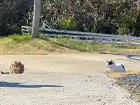 比田勝金比羅神社(長崎県)