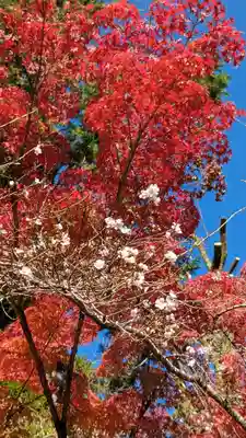 赤山禅院(京都府)