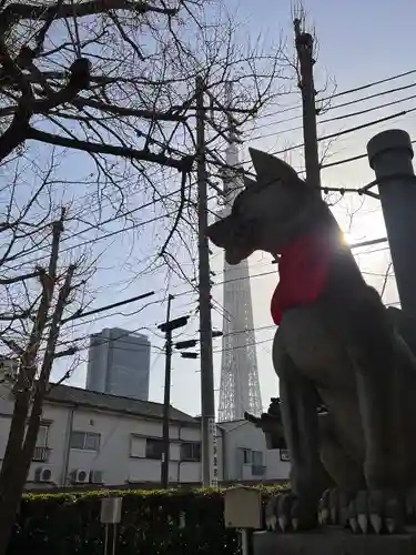 飛木稲荷神社の狛犬