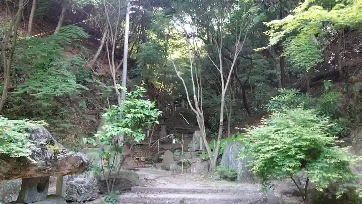 仙遊寺(愛媛県)