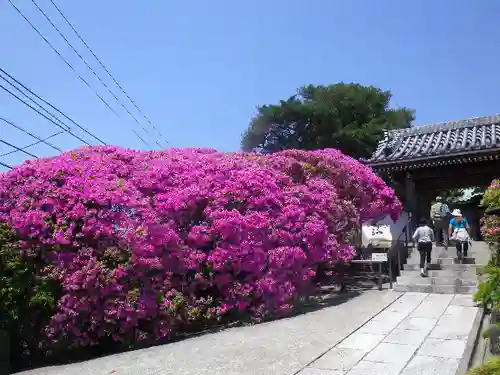 安養院　(田代寺）の周辺