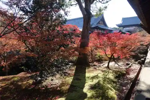 東福禅寺（東福寺）の庭園