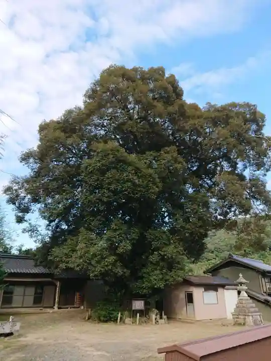白髭神社の自然