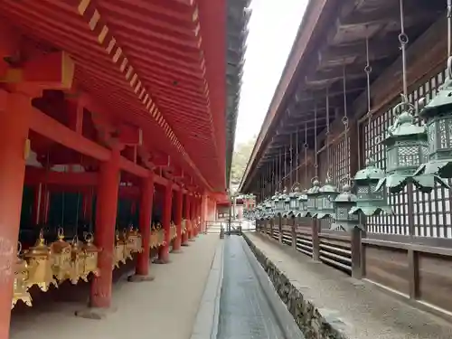 春日大社(奈良県)