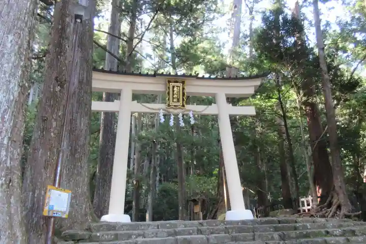 飛瀧神社(熊野那智大社別宮)の鳥居