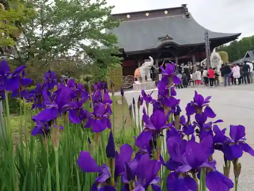 長福寿寺の自然
