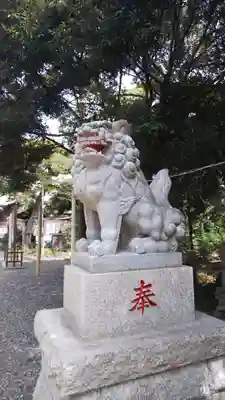 菊田神社の狛犬