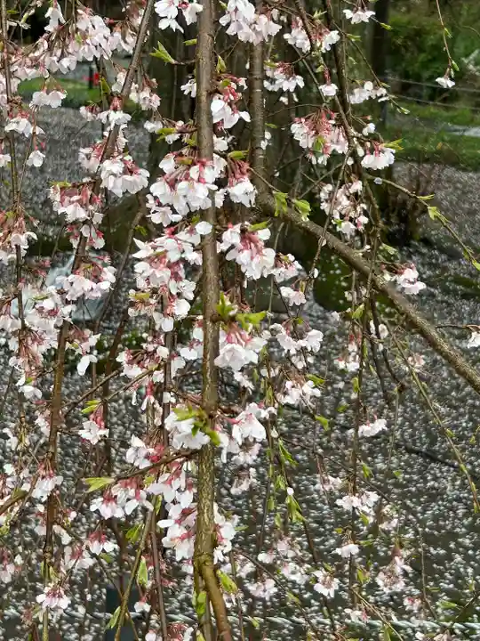阿弥陀寺のその他建物