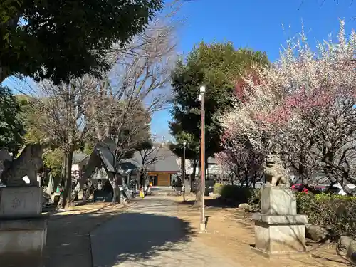 新井天神北野神社(東京都)