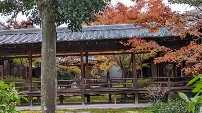 建仁寺（建仁禅寺）(京都府)