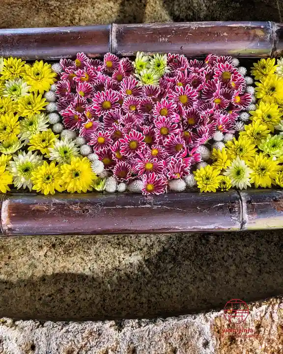 立志神社(滋賀県)