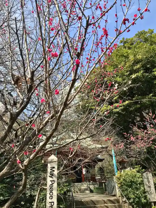 芝東照宮の自然