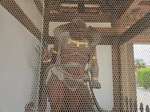 京善寺(大阪府)