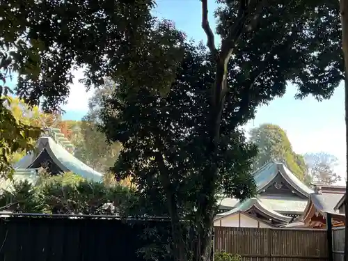 武蔵一宮氷川神社(埼玉県)