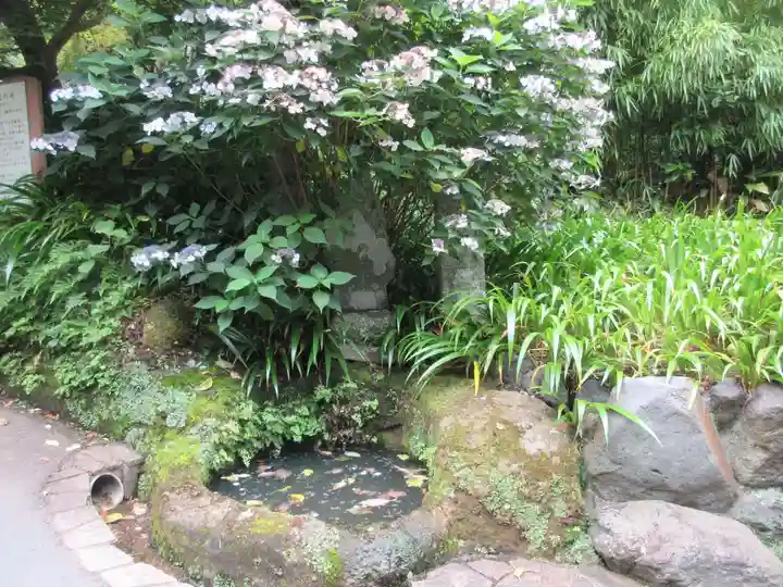 海蔵寺(神奈川県)