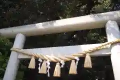 泉神社の鳥居